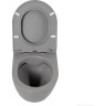 Подвесной безободковый унитаз BELBAGNO COLORATO BB062CHR-GR