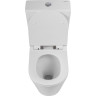 Унитаз-компакт безободковый BELBAGNO BB2149CP-TOR/BB2149T/BB870SC